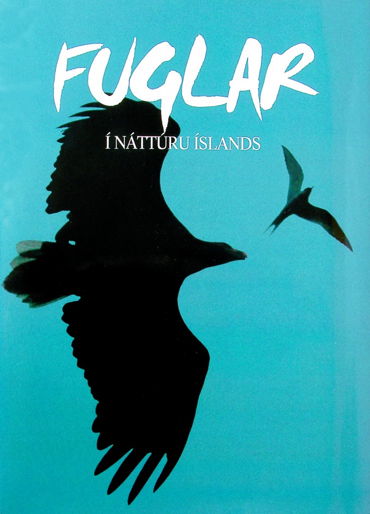 Fuglar í náttúru Íslands