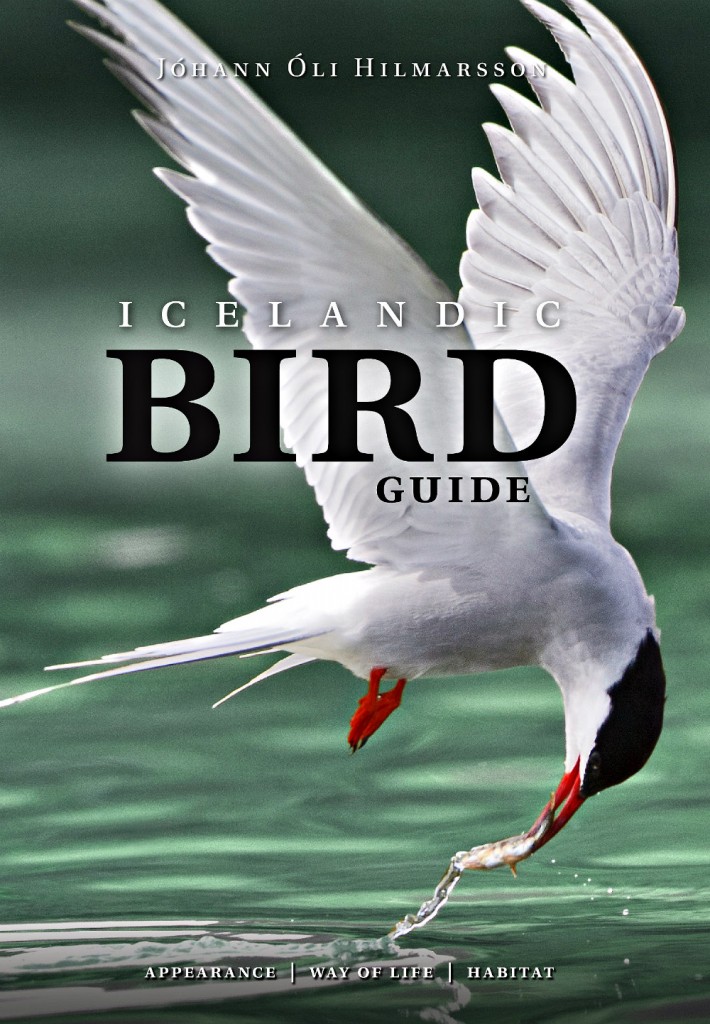 Icelandic bird guide