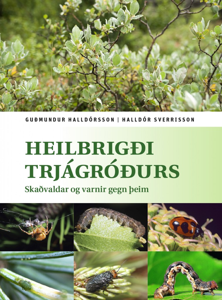 Heilbrigði trjágróðurs