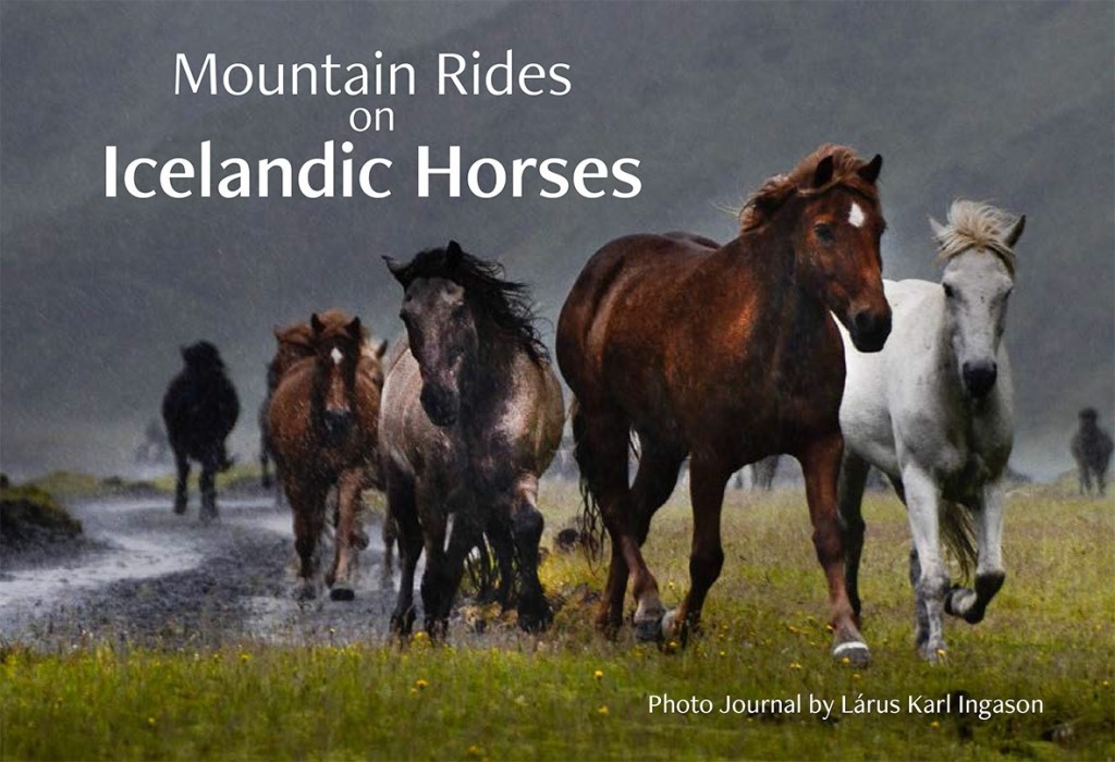 Mountain Rides on Icelandic Horses