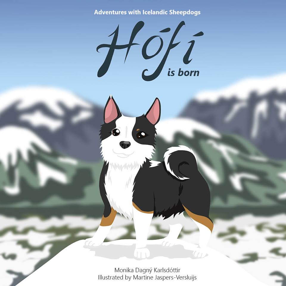 Hófí is born - Adventures with Icelandic Sheepdogs