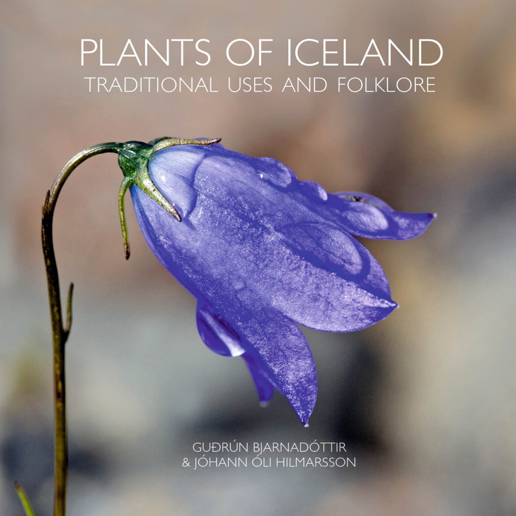 Plants of Iceland - traditional uses and folklore