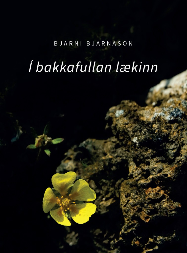 Í bakkafullan lækinn