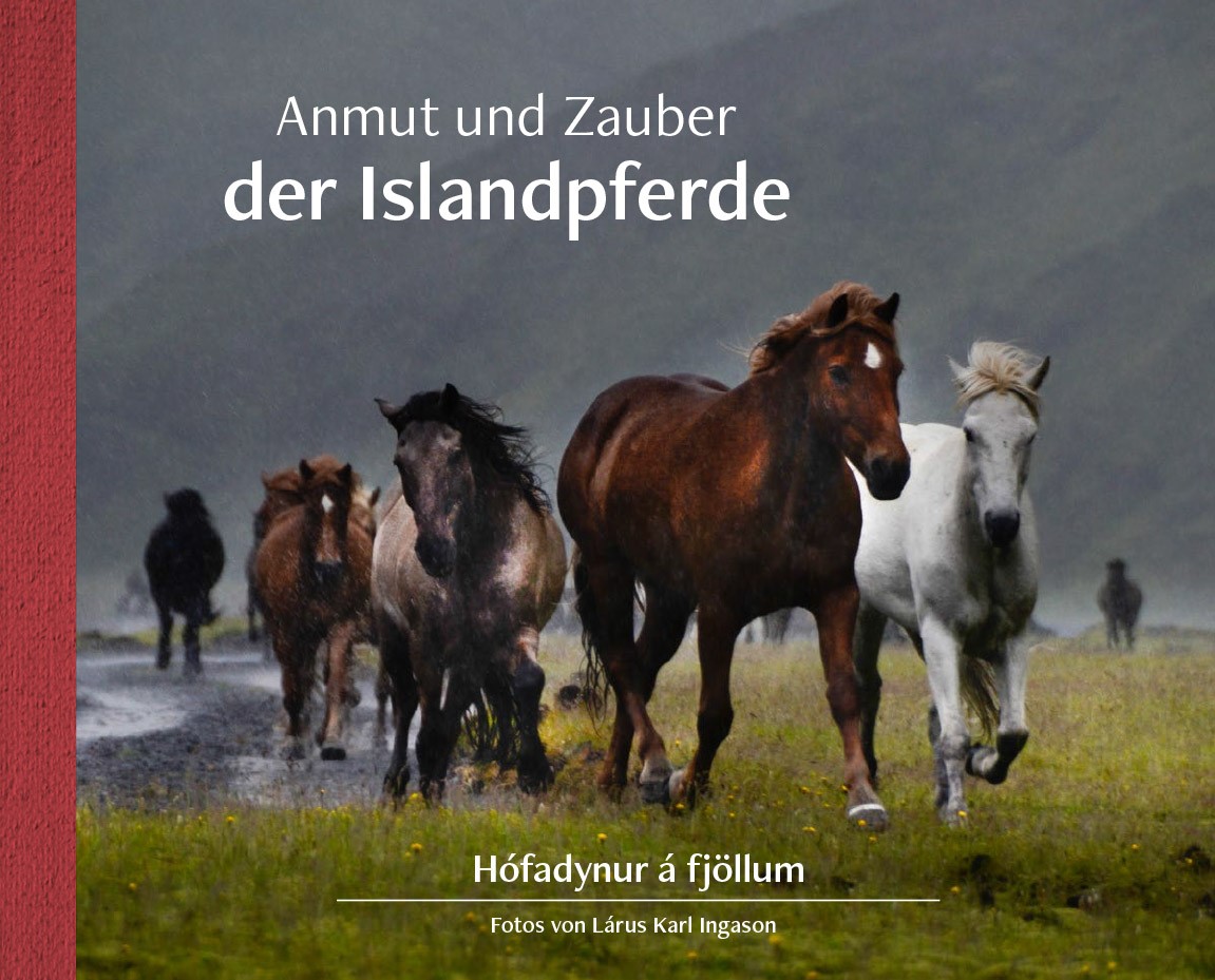 Anmut und Zauber der Islandpferde / Hófadynur á Fjöllum