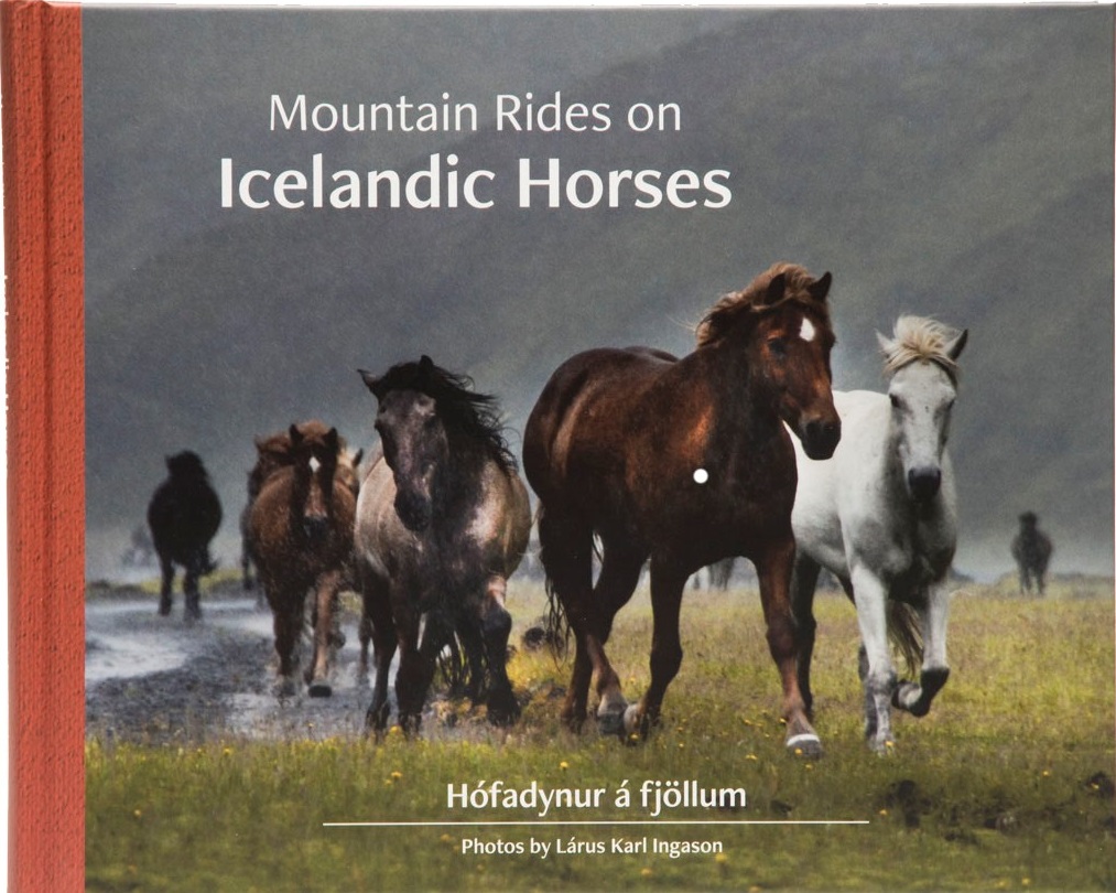 Mountain rides on Icelandic horses / Hófadynur á fjöllum