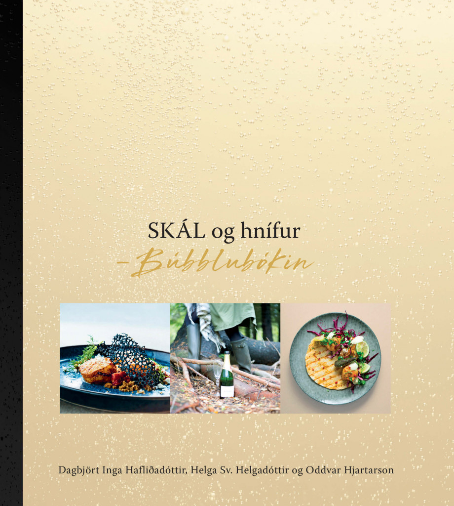 SKÁL og hnífur - Búbblubókin