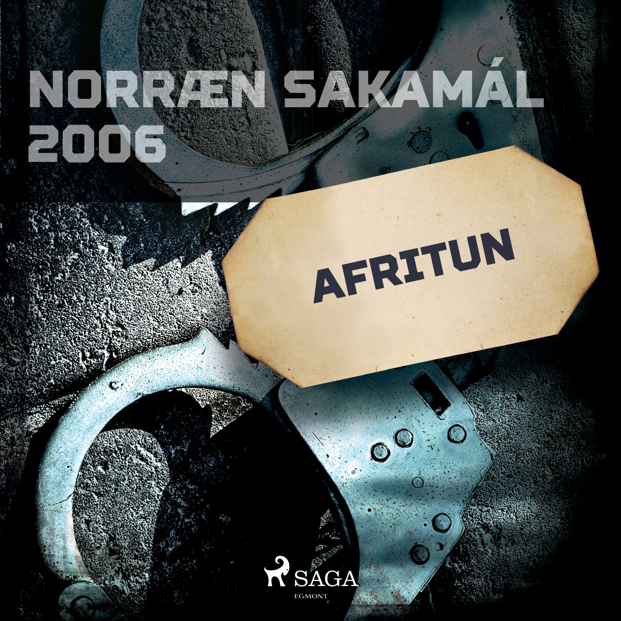 Norræn sakamál 2006: Afritun