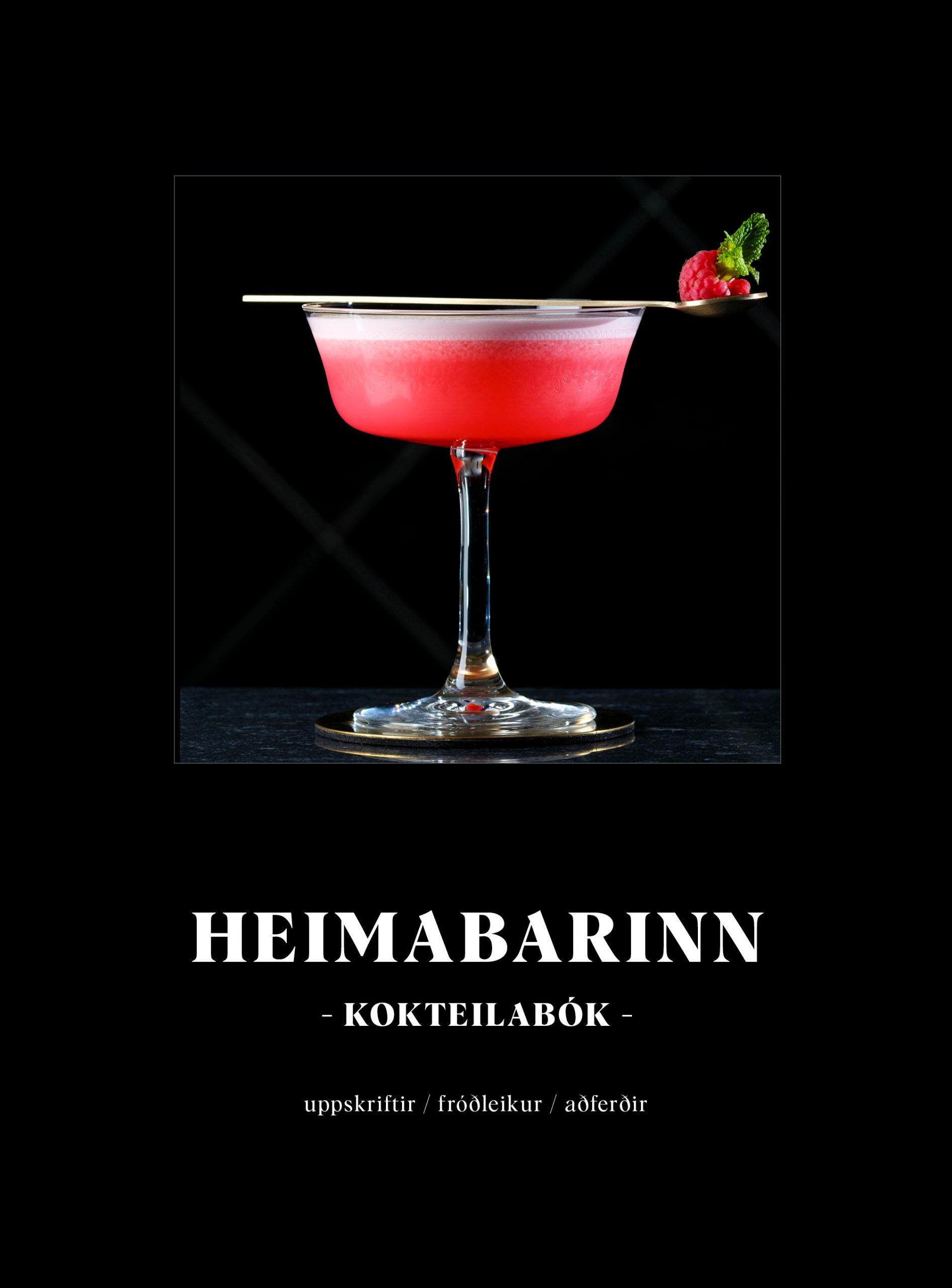Heimabarinn – kokteilabók