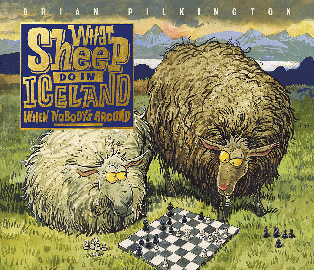 What sheep do in iceland when