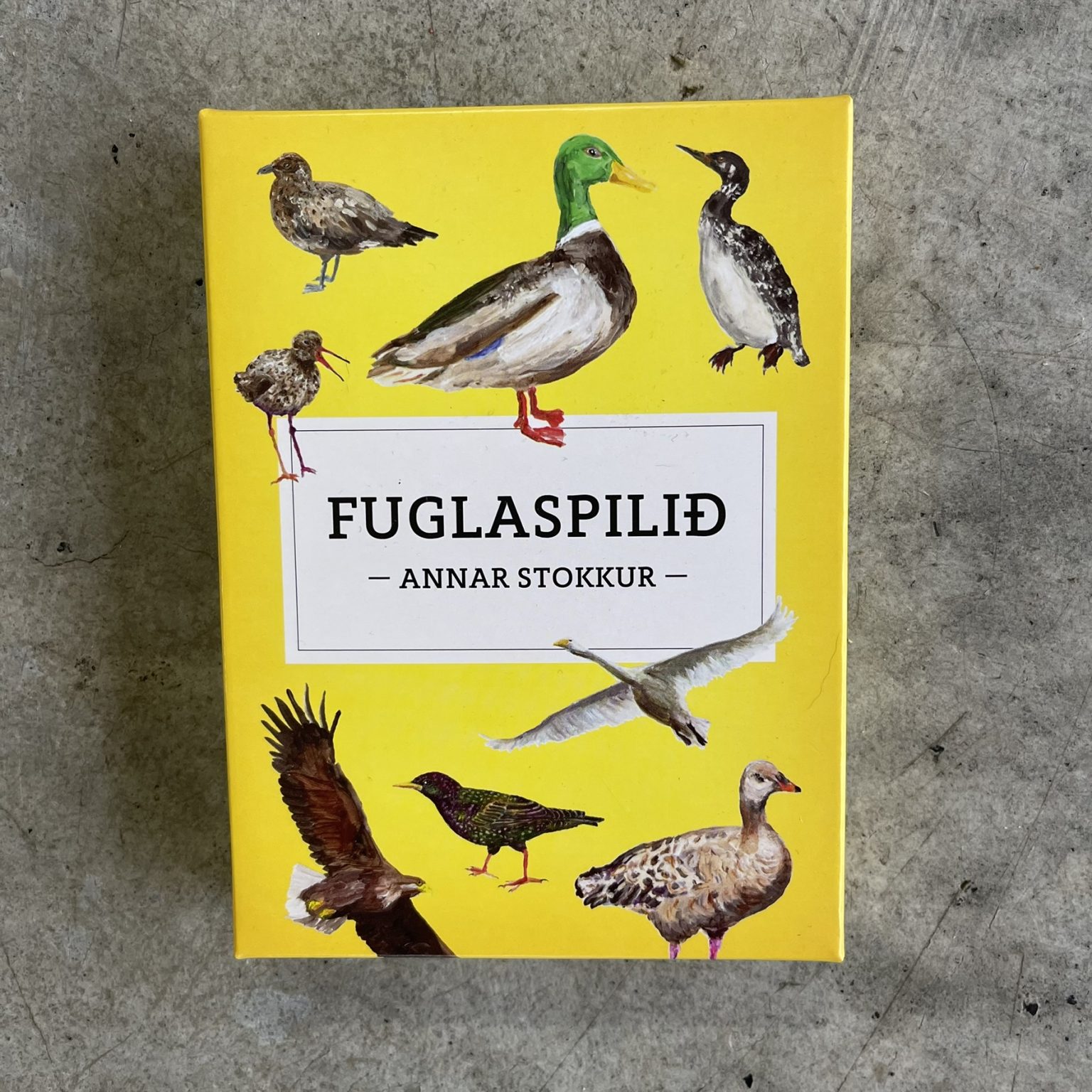 Félagsfræði: Ég, við og hin – vefbók – Forlagið bókabúð