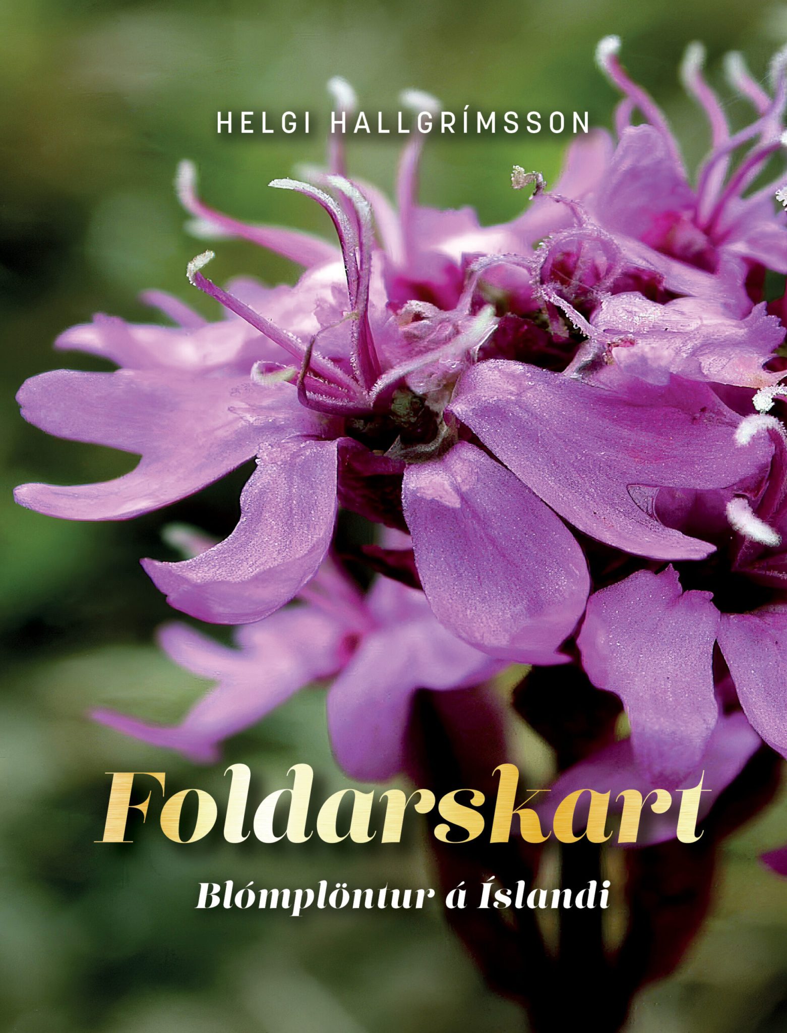 Fræðsla og fjör: Fánar – Forlagið bókabúð